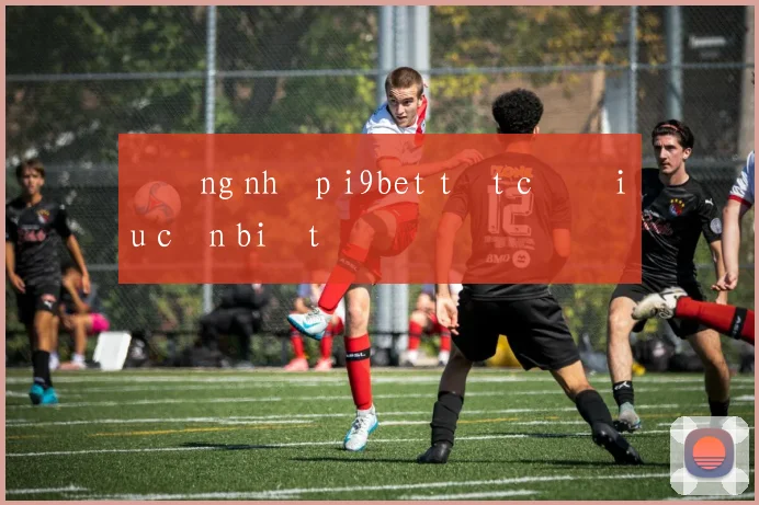 Đăng nhập i9bet tất cả điều cần biết