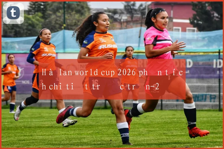 Hà lan world cup 2026 phân tích chi tiết trước trận